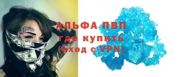 прущие грибы Краснослободск